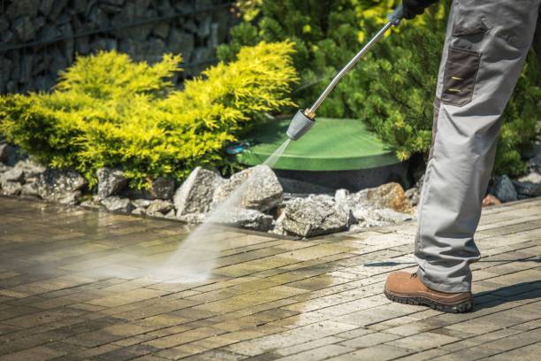 Best Winterizing Services  in High Springs, FL